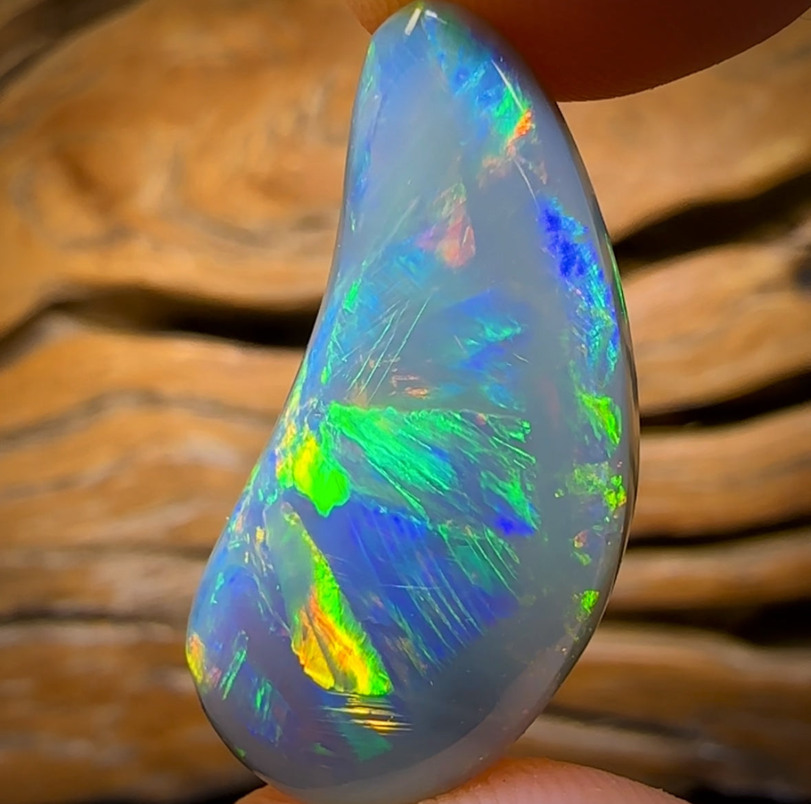 18.1cts - Super Stone Rare South Australian Dark Opal. Multicolour Magic with Amazing Pattern.