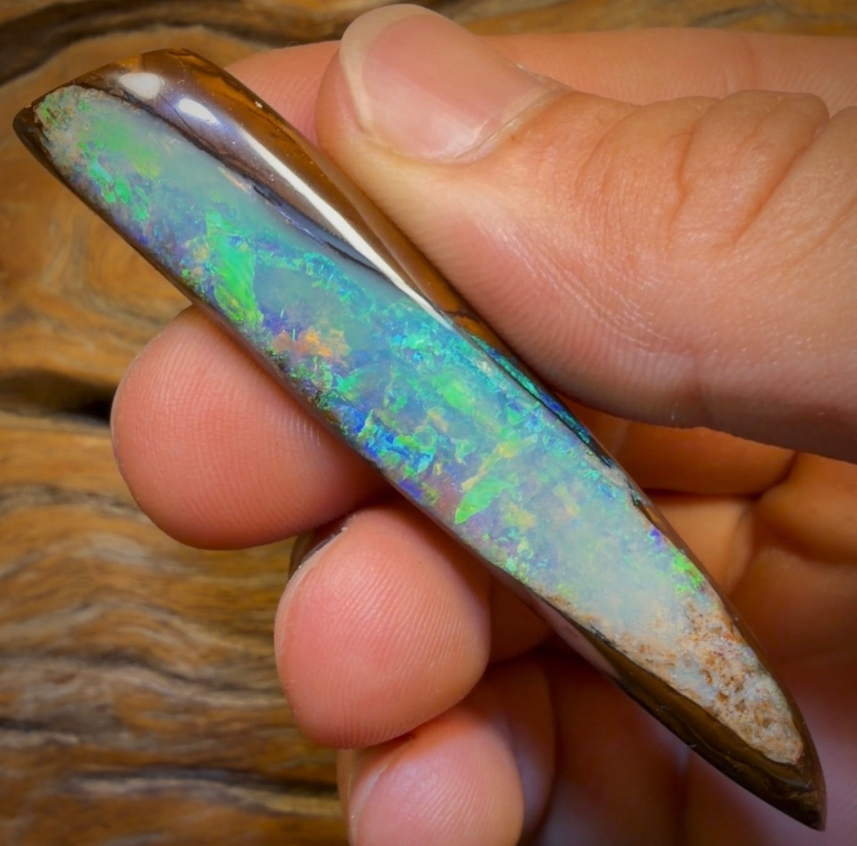 96.2cts - “Adams Rib”GEM Fossil Crystal Opal. Isaac’s Cut!