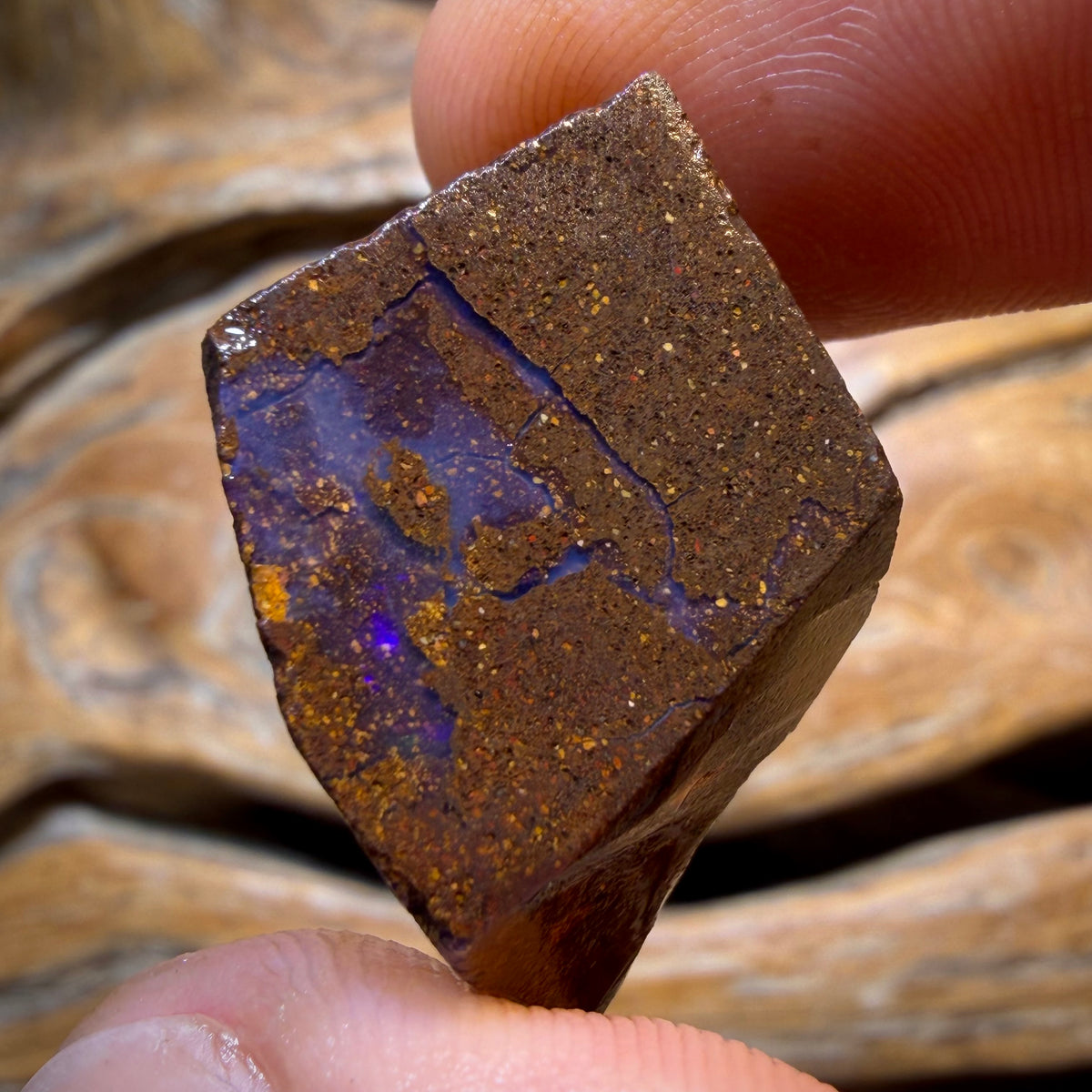 Dad Card! 44.6cts - Queensland Boulder Seam Opal Rough Rub