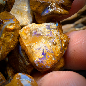 150g - Yowah Opalised Wood/Vegetation Fossil Rough Parcels. BULK LISTING!