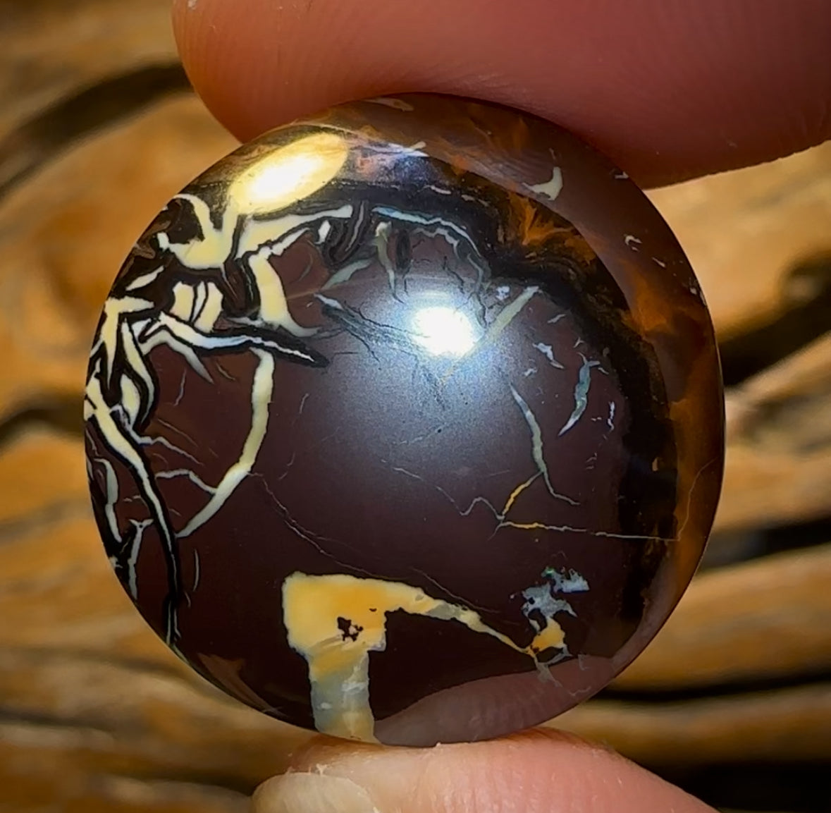 Auction Fall-Through = Your Gain! 🔥 Now More Than 50% Off RRP 🚨 47.1cts - Queensland Boulder Opal Cool Tribal from Koroit