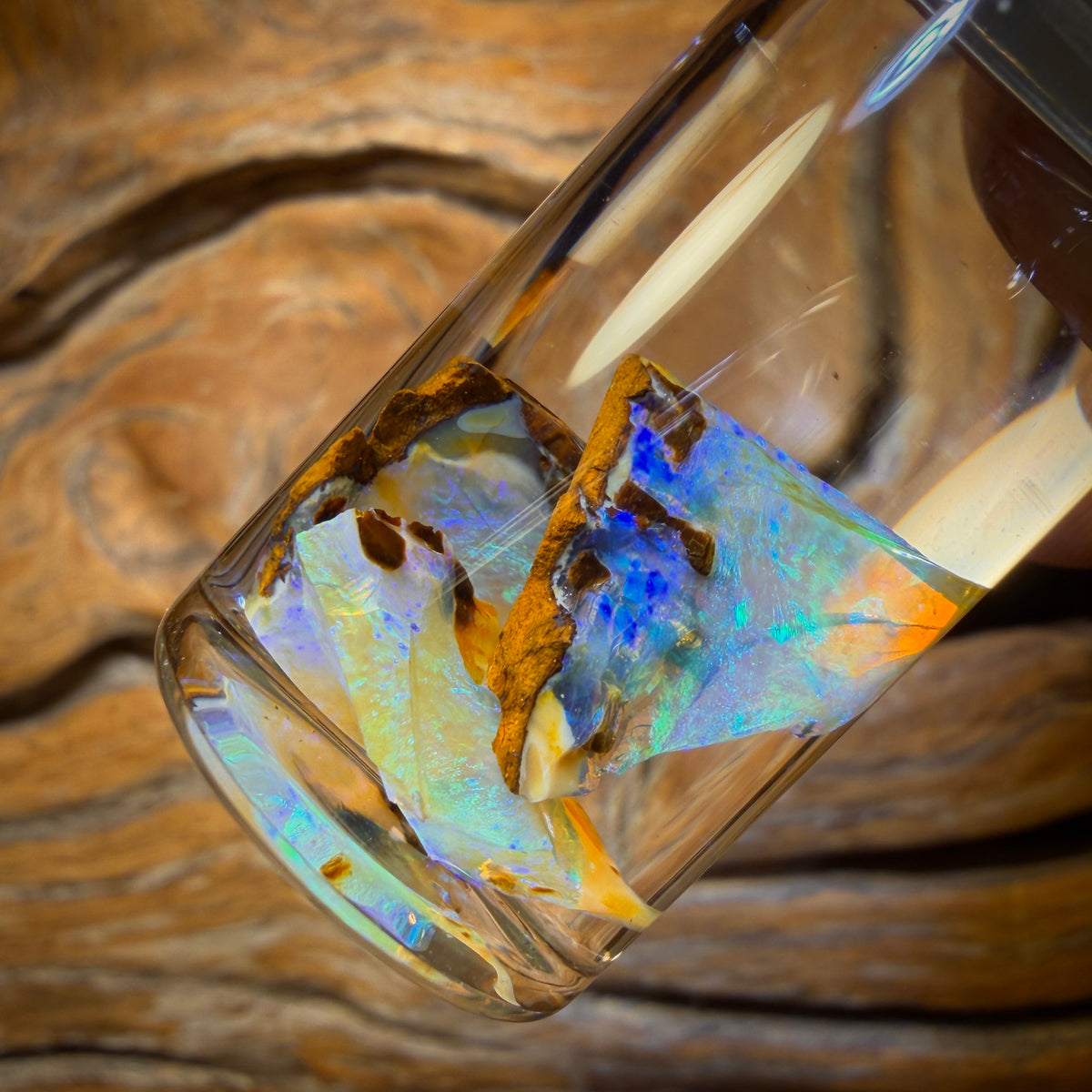🔨 AUCTION 🔨 14.9cts - Vial of Rare Yowah Wood Fossil Crystal Opal Rough
