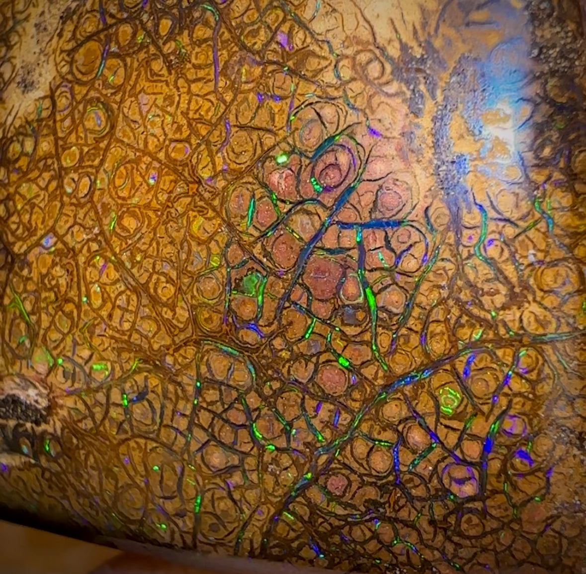 282.5cts - Intricate Tan Tribal Queensland Boulder Opal. Polished Specimen