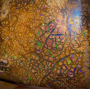 282.5cts - Intricate Tan Tribal Queensland Boulder Opal. Polished Specimen