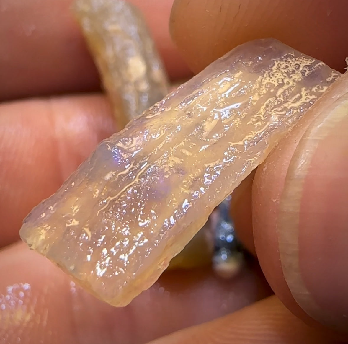 🔨 AUCTION 🔨 No Reserve 23.8cts - 3x Opalised Fossil Geological Specimens from Lightning Ridge