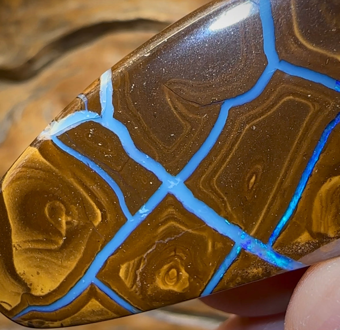 163.1cts - Australian Boulder Seam Opal from Winton - Opal Whisperers