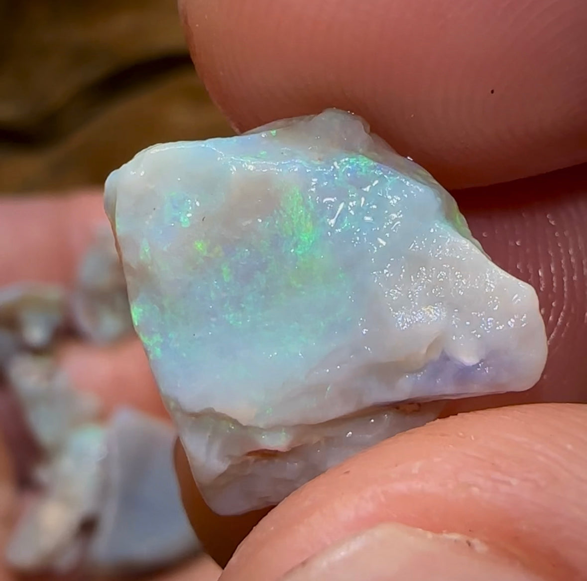 58.55cts - 11x Lightning Ridge Dark and Light Opal Rough Parcel - Opal Whisperers