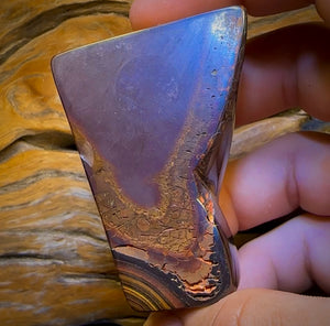 585.5cts - Tribal Koroit Nut Opal. Polished Specimen