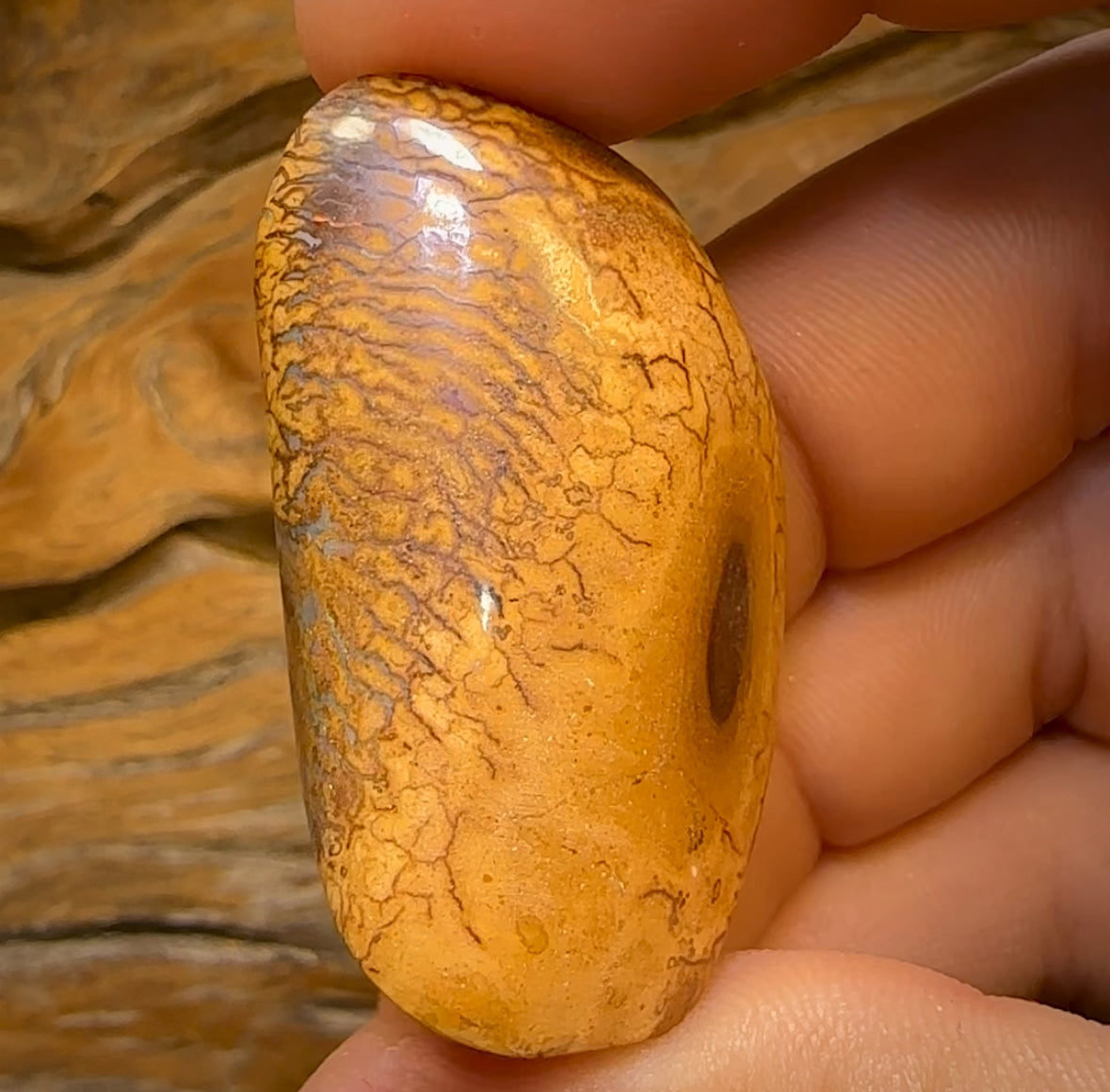 107.2cts - Yowah Nut Kernel Opal Specimen Polished