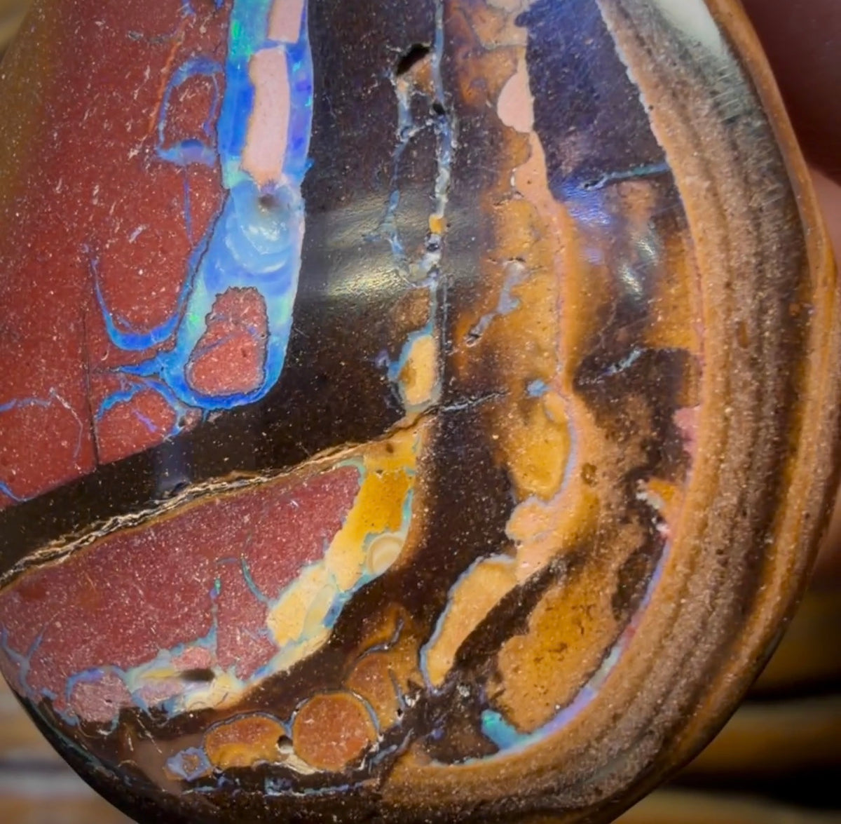 Wildcard! 40 x 32mm - Drilled Tribal Queensland Boulder Opal Necklace