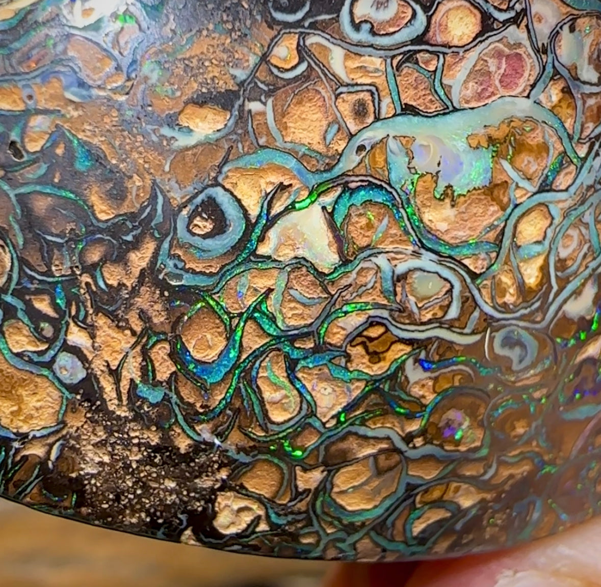 134.8cts - XLarge Tribal Pattern Queensland Boulder Opal - Opal Whisperers