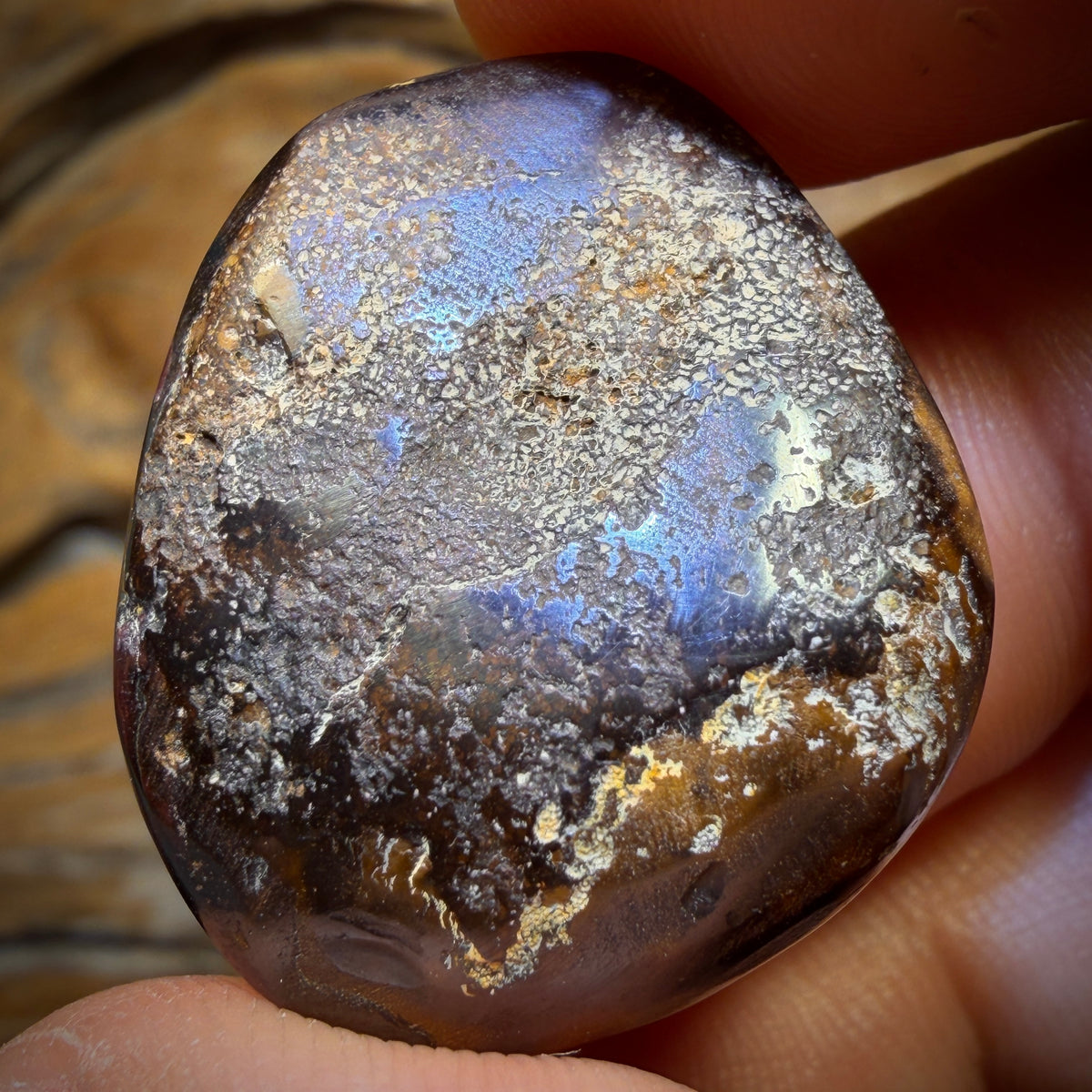 🔨 AUCTION 🔨 50.2cts - Yowah Nut Partial Crystal Centre Opal. Australian Boulder Opal