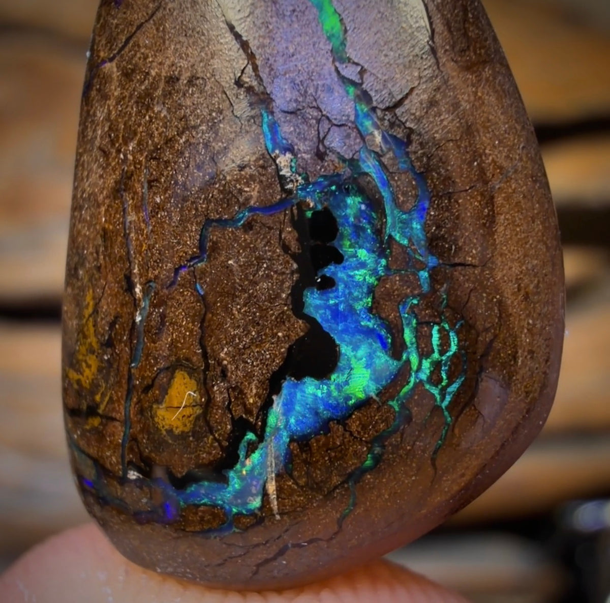 22.3cts - “Donna”Queensland Boulder Seam Opal Picture Stone