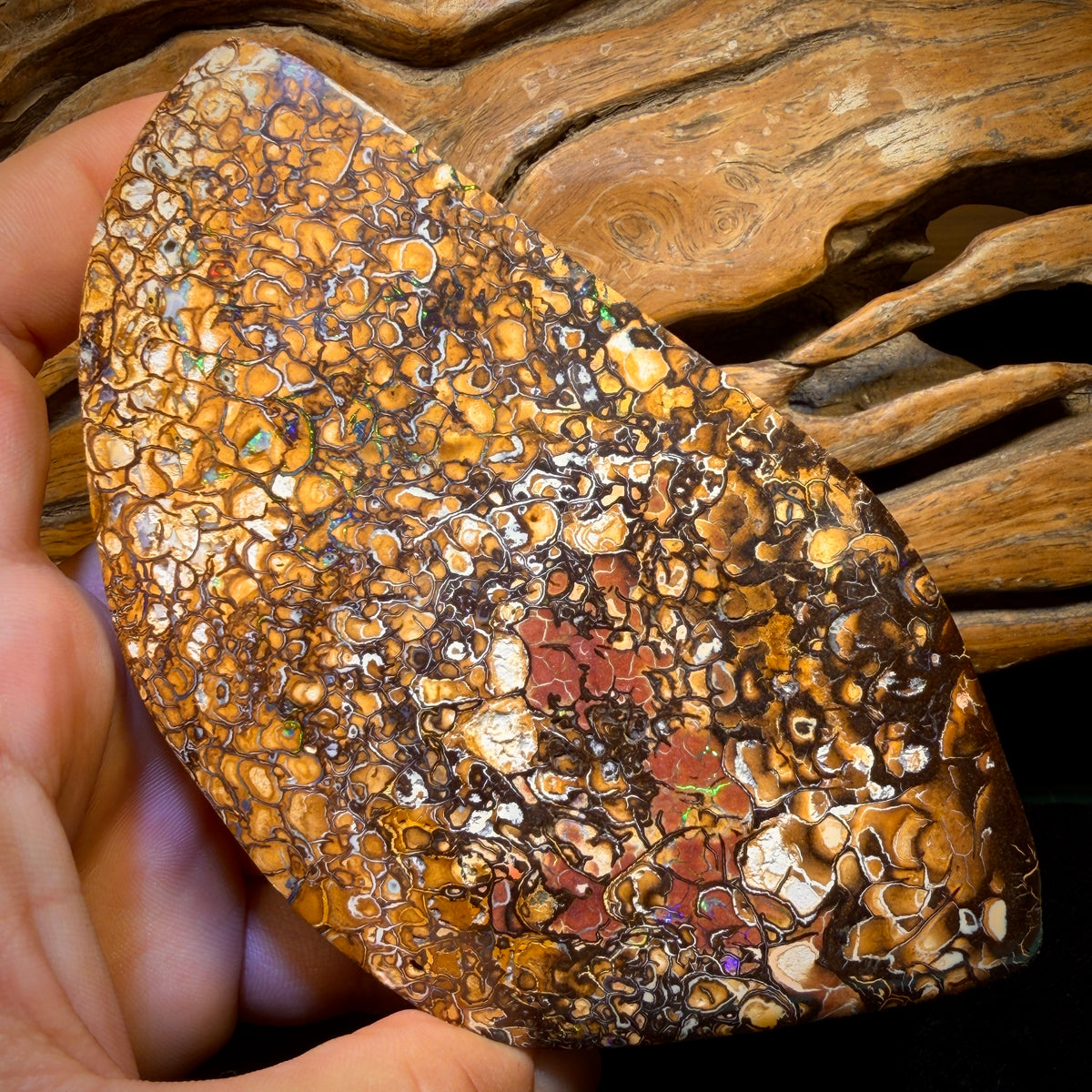 2082cts - HUGE Tribal Australian Boulder Opal Polished Specimen