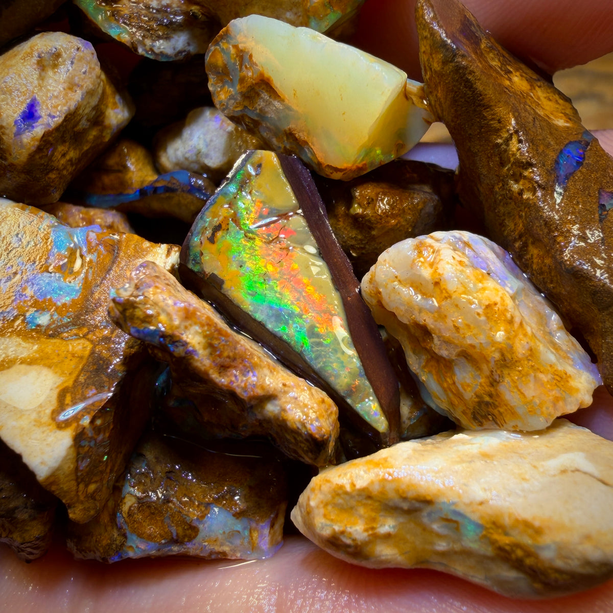 🔒451.1cts - 35x Opalised Wood/Vegetation Fossil Rough Parcel from Yowah