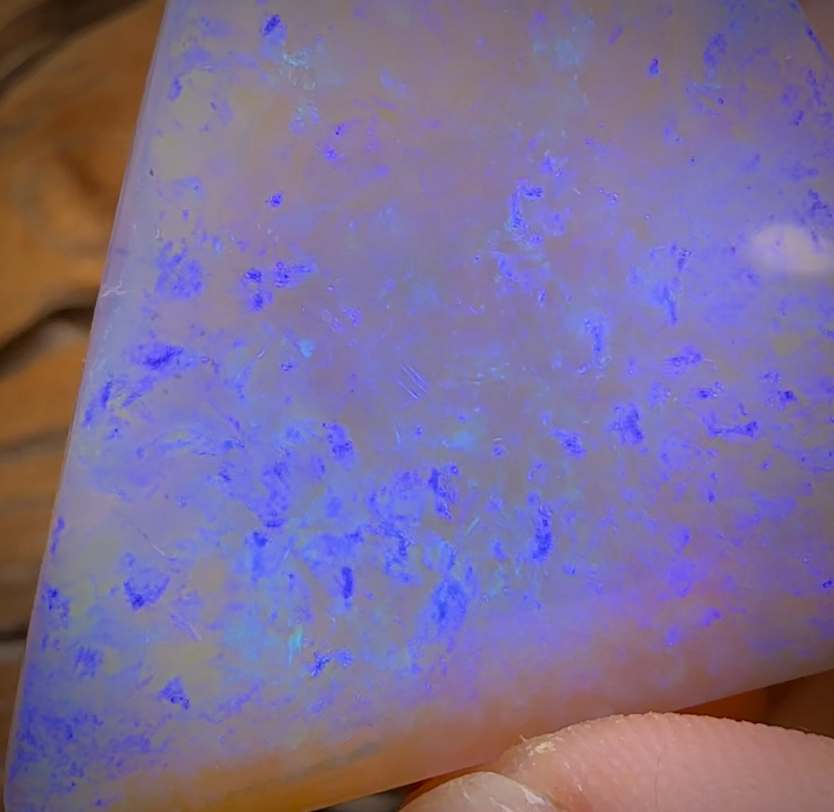 137.2cts - “The Titan” HUGE GEM Lightning Ridge Crystal Opal.