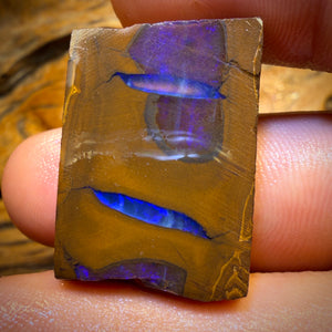 64,6ct – Queensland Boulder Opal Rohling Rohform aus Duck Creek