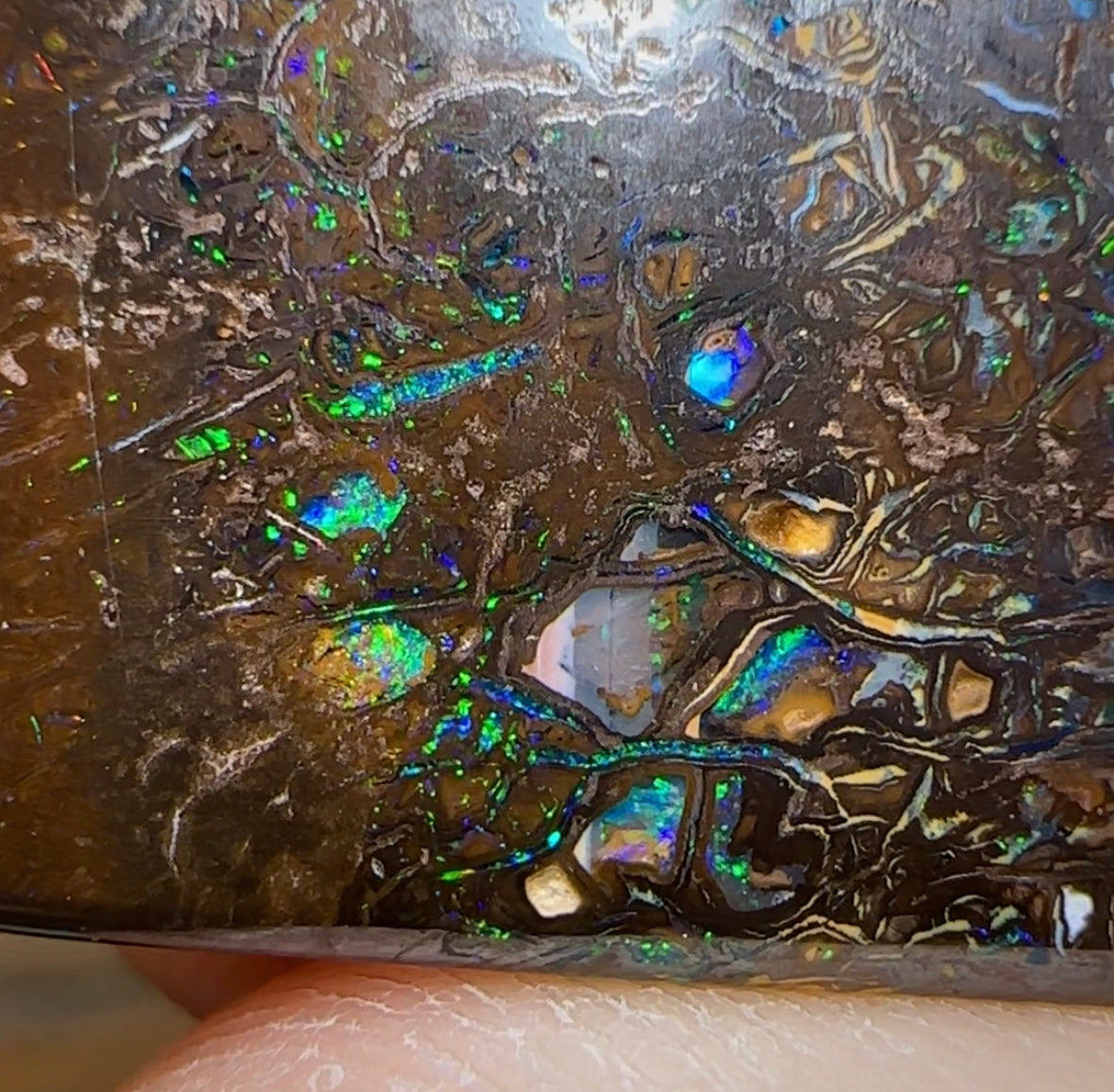 33.5cts - Queensland Boulder Opal. Australian Opal ￼ - Opal Whisperers
