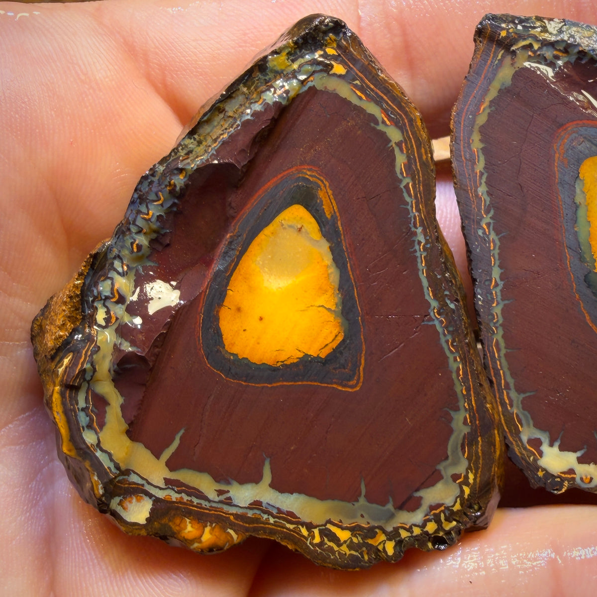 Roadshow Wildcard! 422cts - RARE Yowah Nut Kernel Opal Rough Specimen Pair