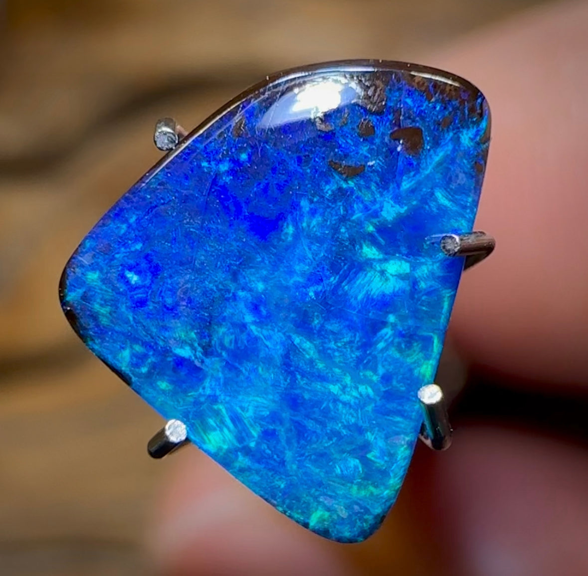 2.1cts - Queensland Boulder Opal from Winton - Opal Whisperers