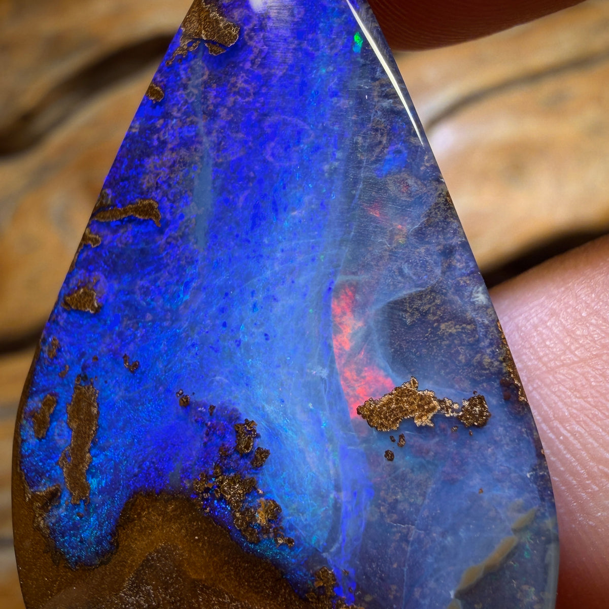 🔨 AUCTION 🔨 59.3cts - Queensland Boulder Seam Opal from Winton