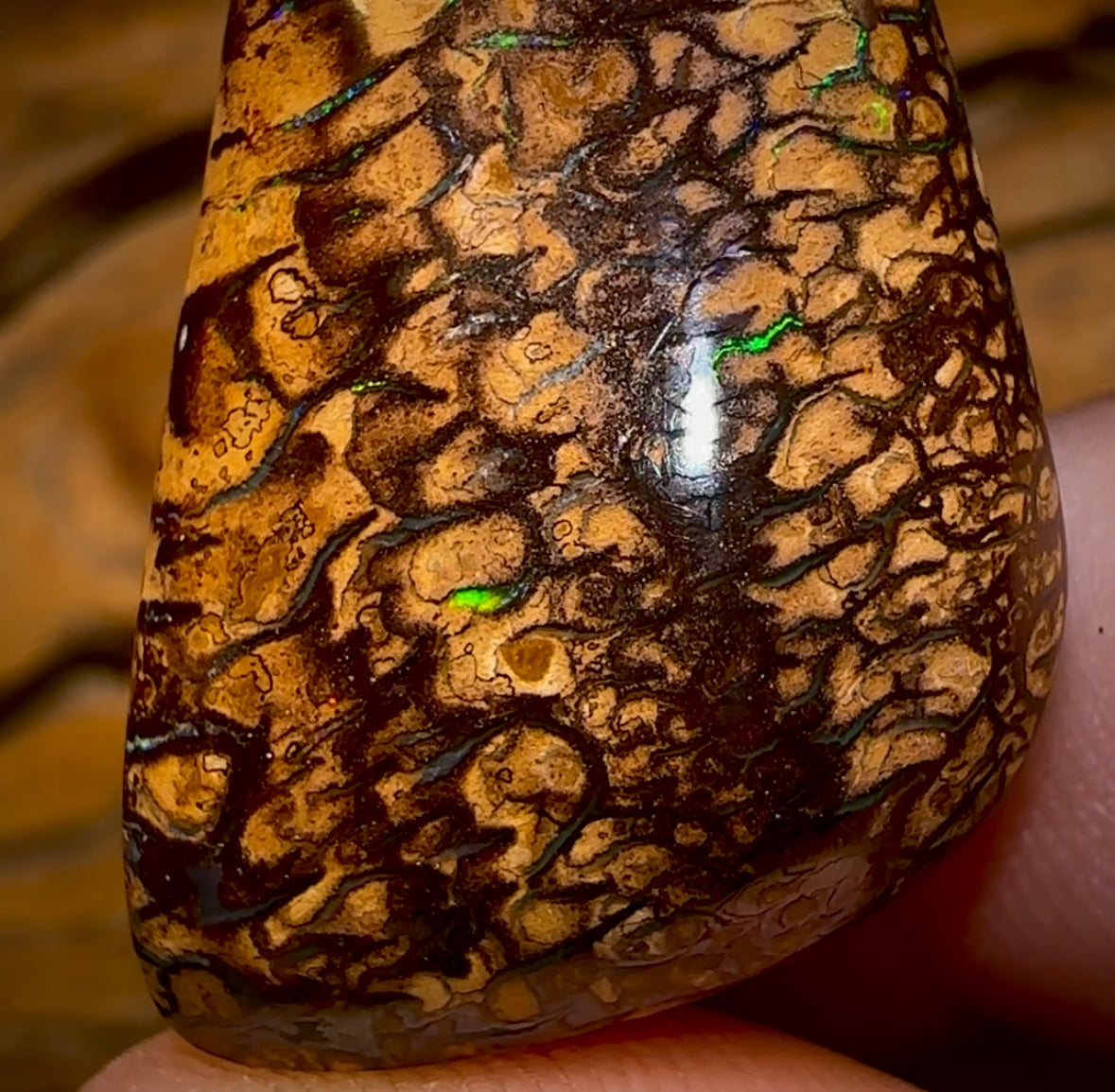 63.9cts - Tribal Queensland Boulder Opal from Yowah