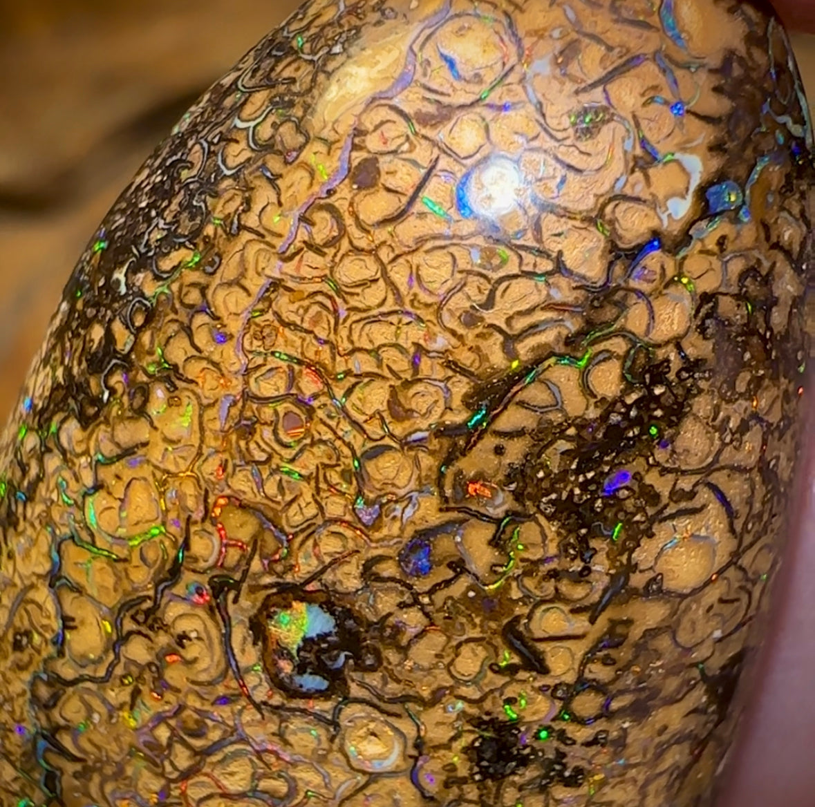 127.8cts - Large Yowah Nut Intricate Tribal Australian Boulder Opal. - Opal Whisperers