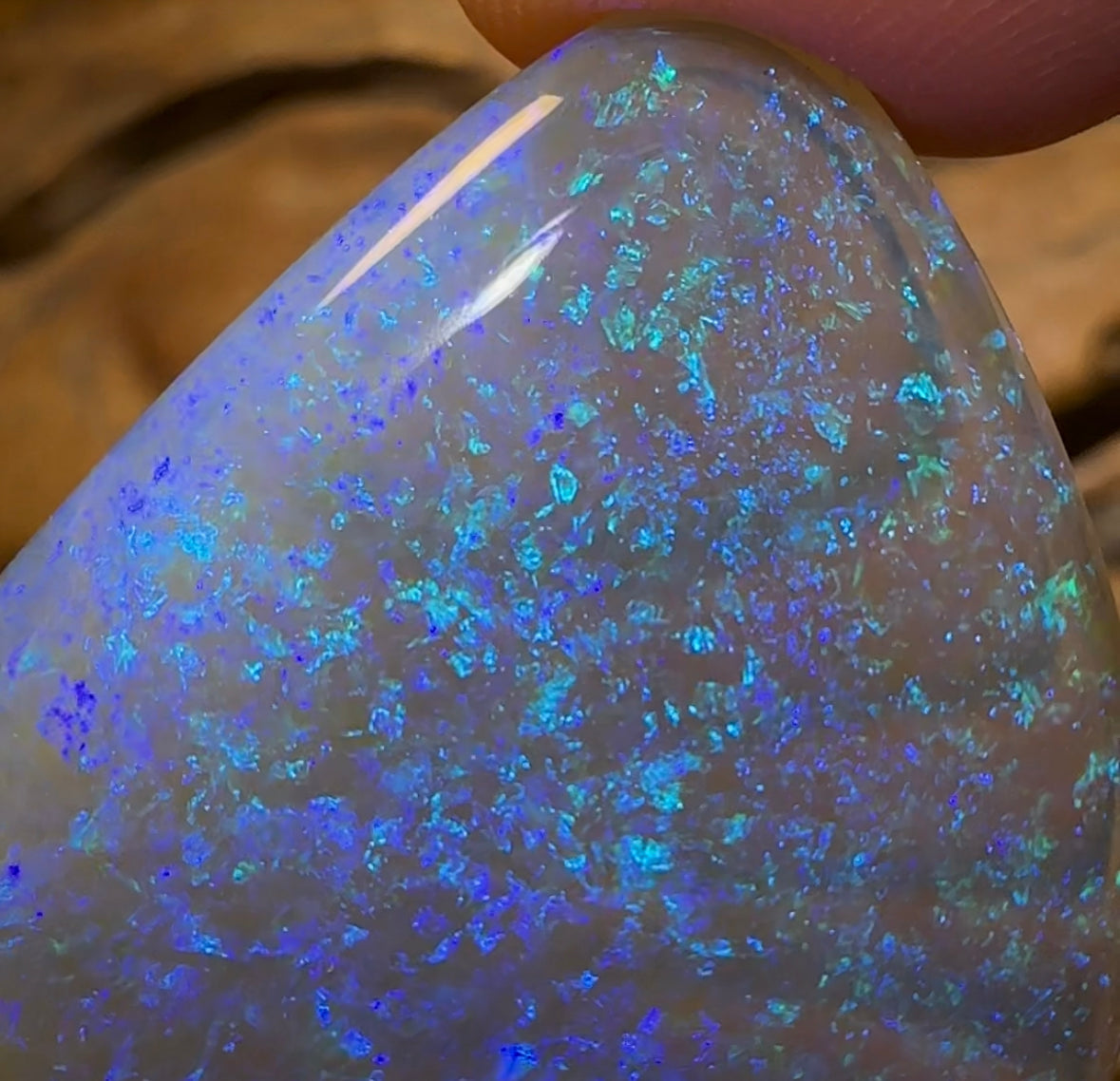61.2cts - HUGE GEM Lightning Ridge Crystal Opal. Heritage Collection - Opal Whisperers