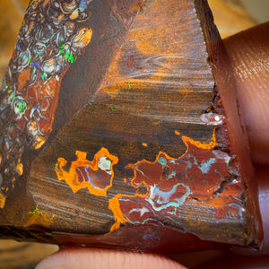 151.2cts - Stammes Yowah Nuss Opal Rohstück
