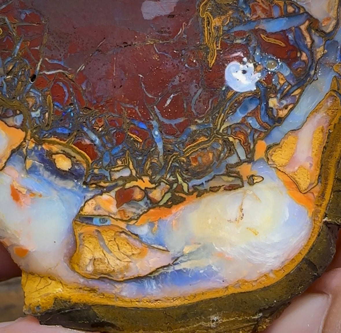 (Template) 477.8cts - Yowah Nut Rough Half. Australian Opal - Opal Whisperers