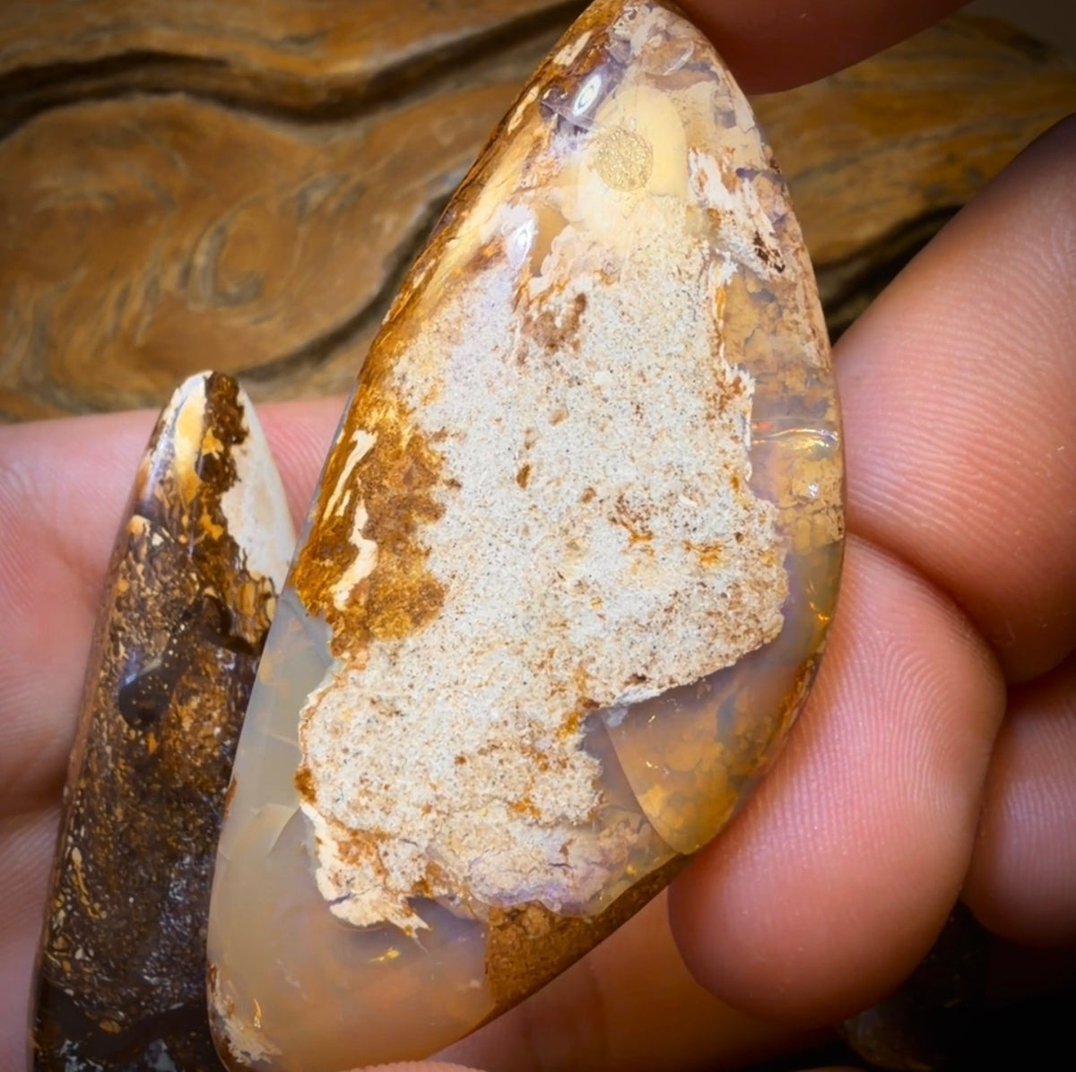 201.1cts - 3x Yowah Nut Opal’s. Wholesale Dealers Parcel less than $1/ct