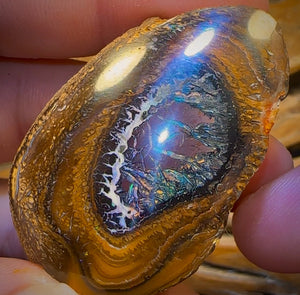 401.5cts - Yowah Nut Tribal Kernel Opal Specimen Pair