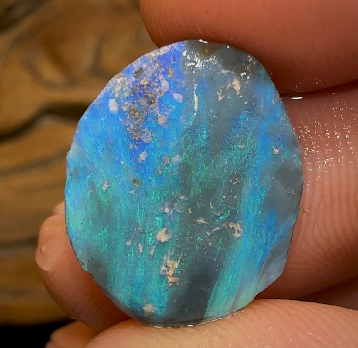 9.5cts - Lightning Ridge Black Opal Rub Amazing Potential! - Opal Whisperers
