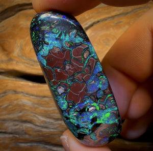 249.2cts - “Tribal Nebula” TOP GEM Tribal Australian Boulder Opal from Koroit