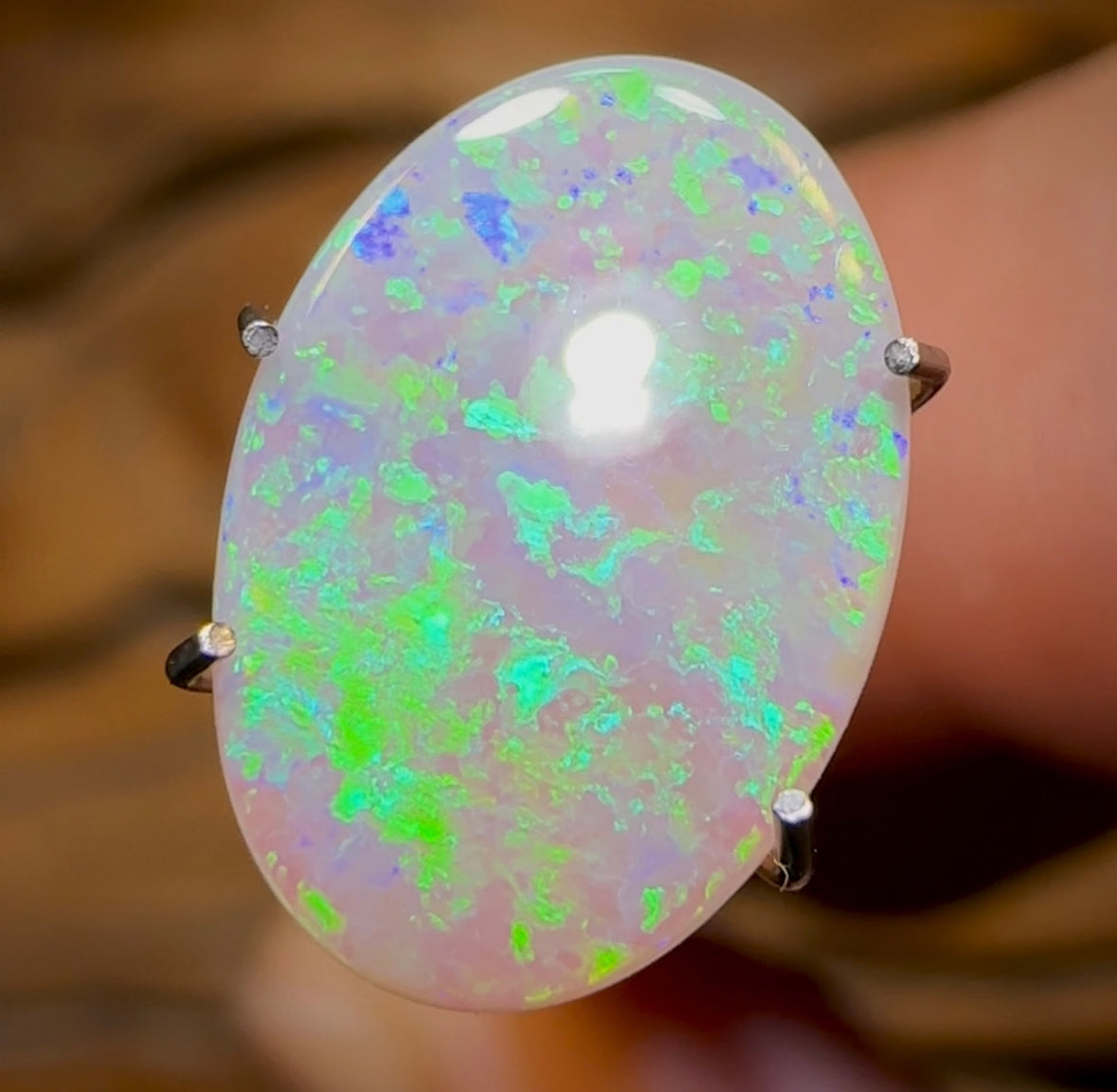 1.5cts - Lightning Ridge Light Opal. Gem Quality - Opal Whisperers