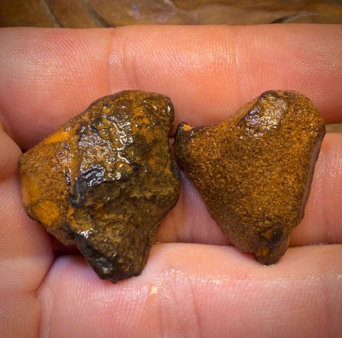 73,1 ct – Rohdiamantpaar mit teilweisem Kristallzentrum aus Yowah-Nuss