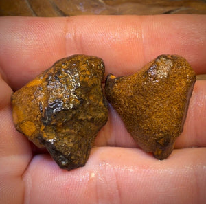 TGIF 73.1cts - Yowah Nut Partial Crystal Centre Rough Specimen Pair