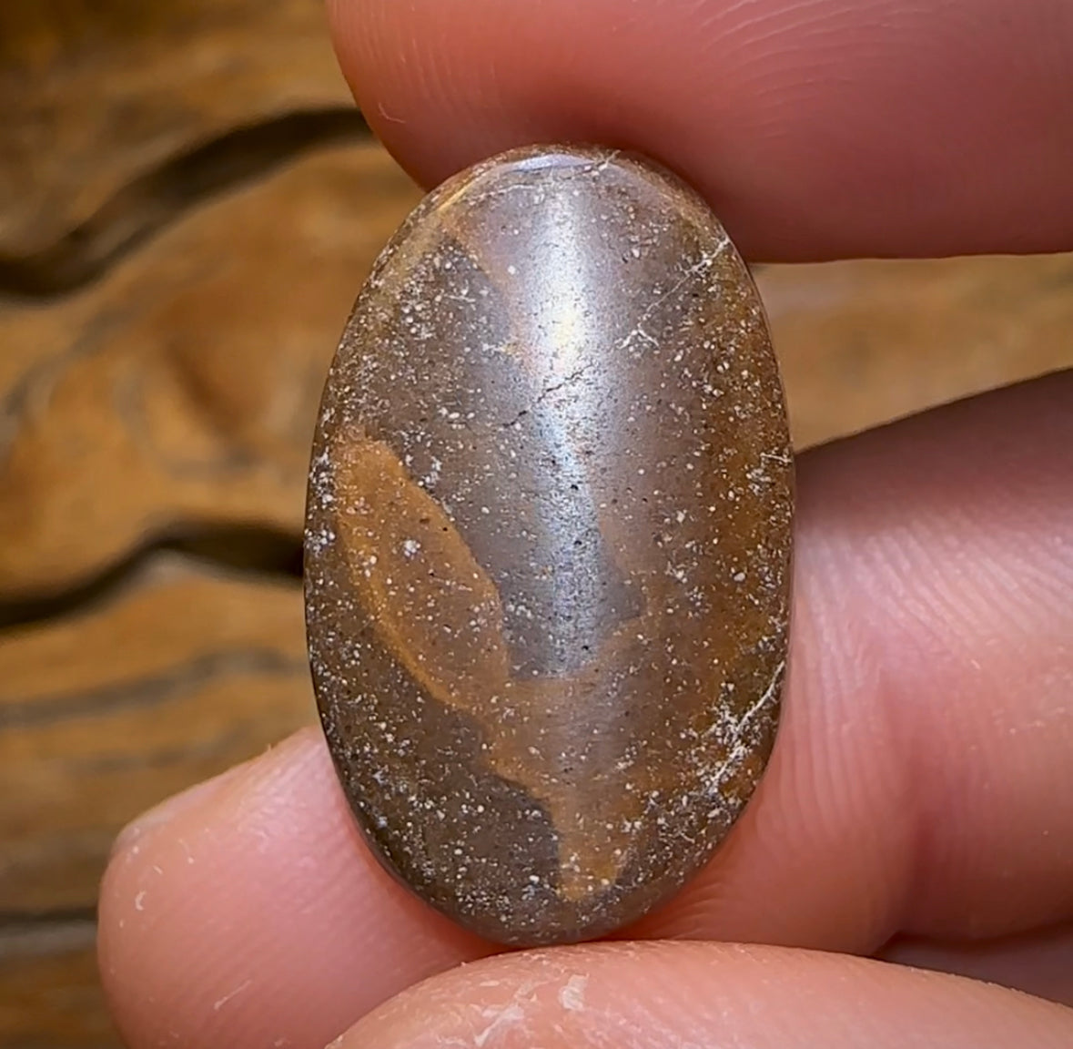 18.6cts - “Currents” Queensland Boulder Seam Opal - Opal Whisperers