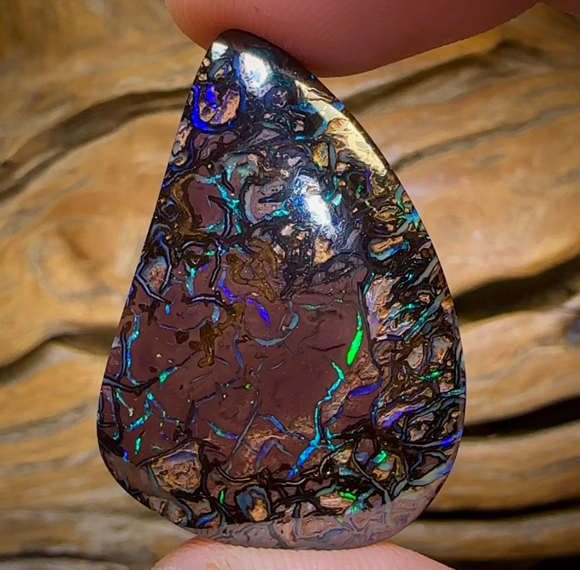 53.5cts - Electric Tribal Queensland Boulder Opal