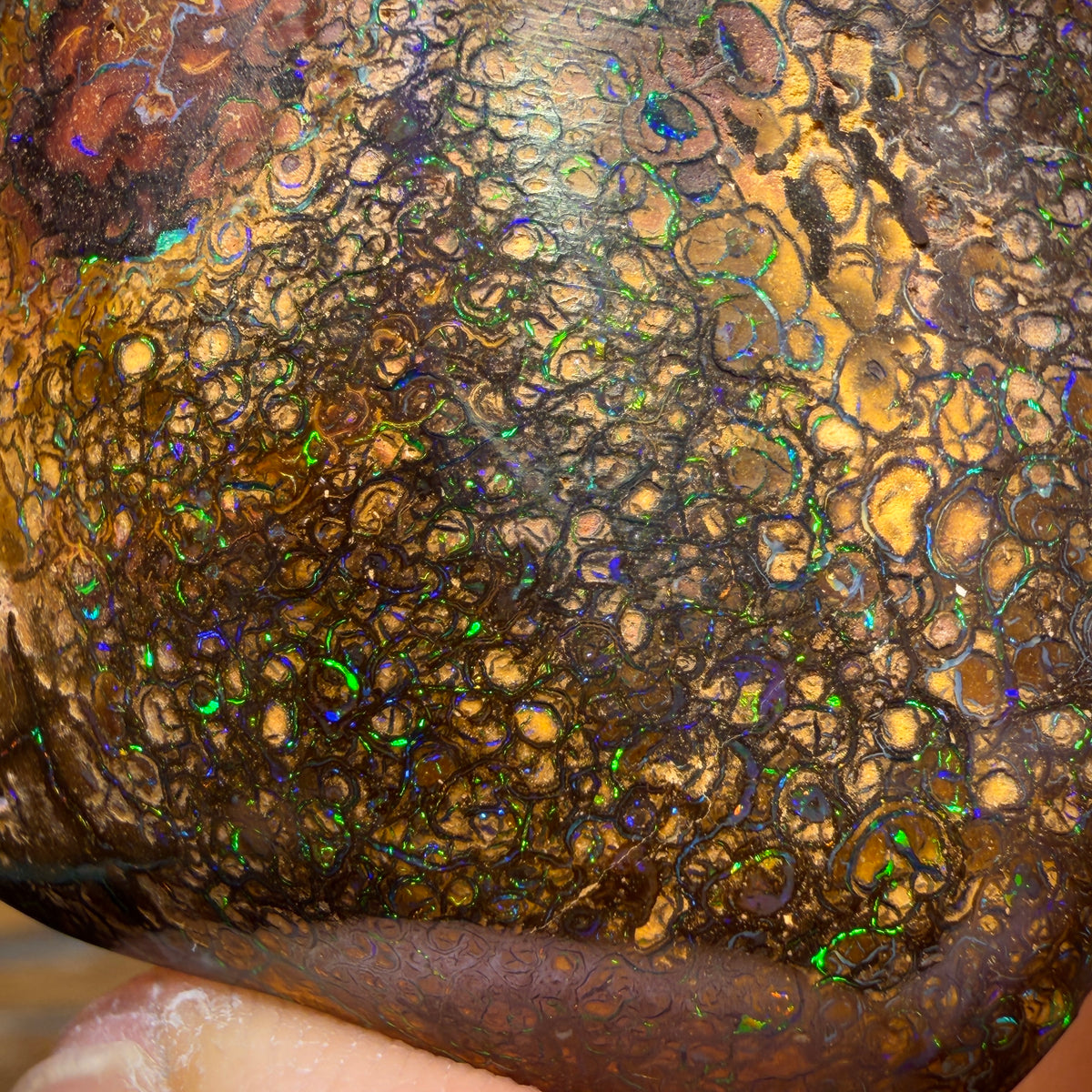 176cts - Large Tribal Queensland Boulder Opal from Yowah