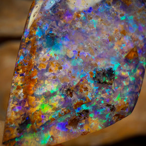 16.6cts - Gem Australian Boulder fossil replacment Opal