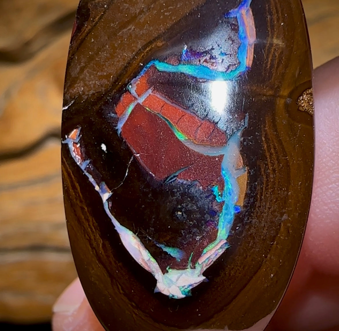 49.4cts - Large Tribal Boulder Opal from Yowah Cool Picture Stone