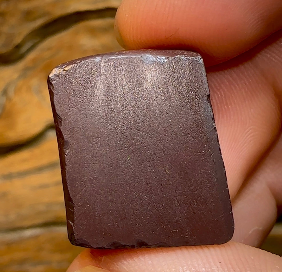 66.2cts - Queensland Boulder Opal from Yowah . Celebrity Stone - Opal Whisperers