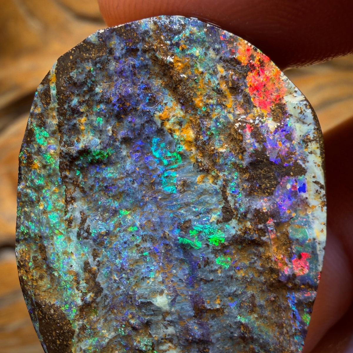 103.3cts - Dremel Dream Queensland Boulder Seam Opal Rough Piece. Natural Split