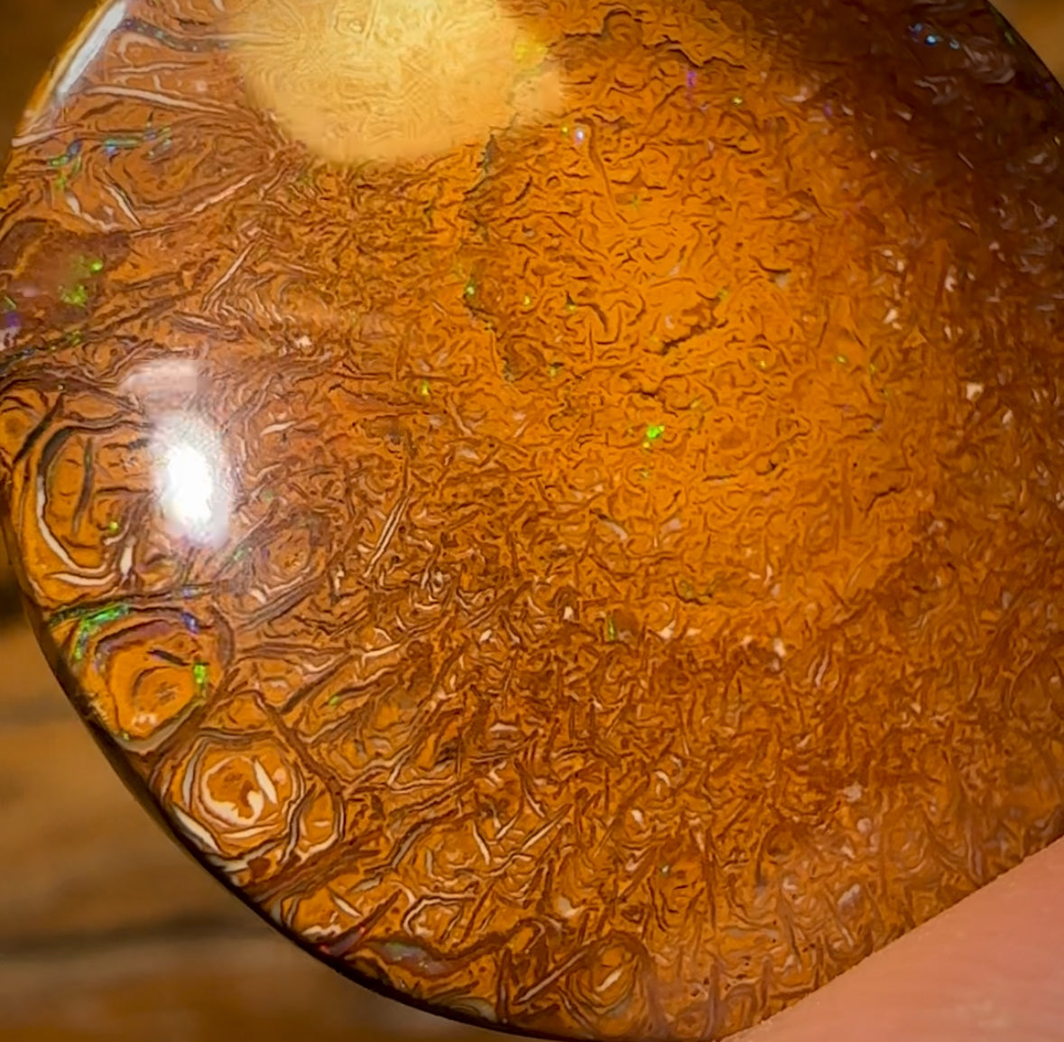 40.7cts - “Tribal Eye 1” Yowah Nut Tribal Kernel Opal. Double Sided!