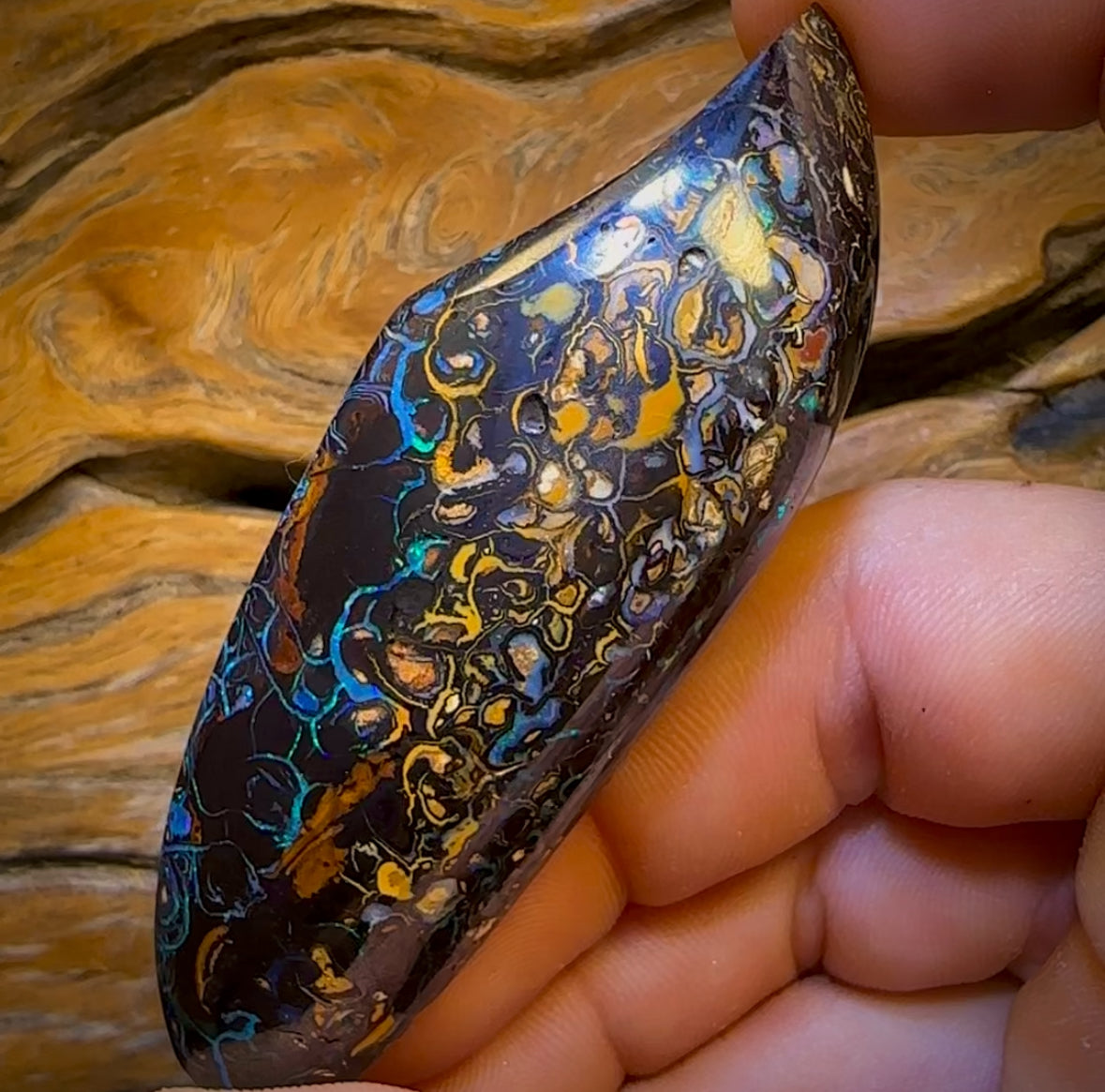 246.5cts - Tribal Queensland Boulder Opal. Polished Specimen