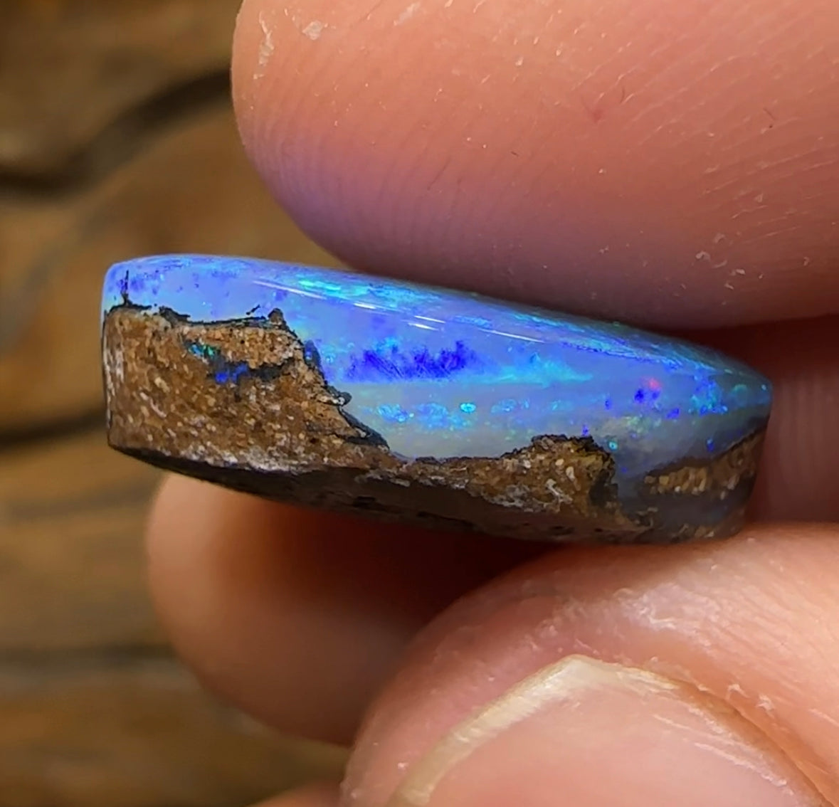11.2cts - INVESTMENT Gem Quality Queensland Boulder Australian Opal. Scandinavian Ice Blue - Opal Whisperers