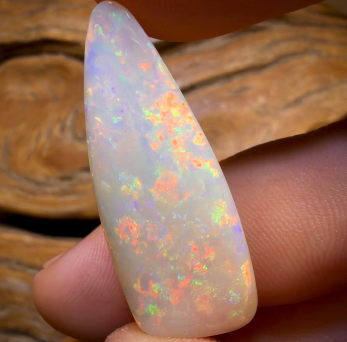 26.9cts - Olympic, South Australian White Opal