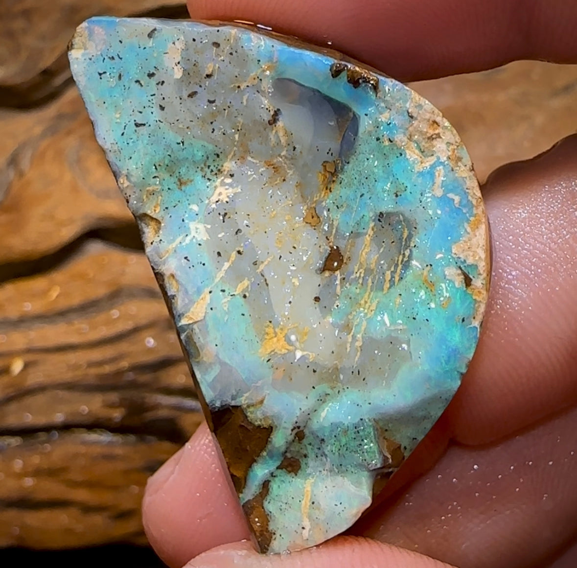 78.5cts - Australian Boulder Opal Rough Preform. Natural Split - Opal Whisperers