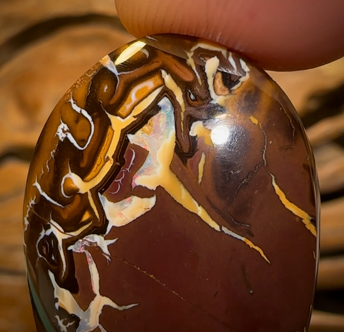 63.7cts - Tribal Queensland Boulder Opal Half Price Bargain